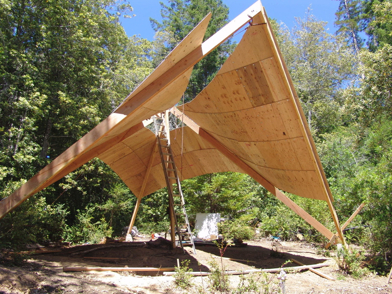 Nearing Complete Blossoming